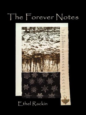 cover image of The Forever Notes